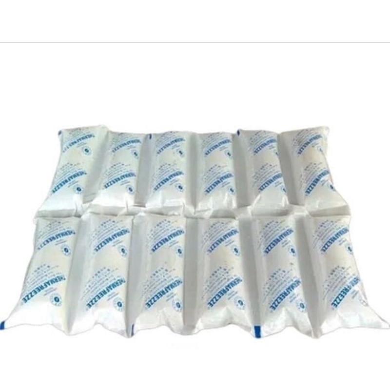 

Ice Gel Pack (Tambahan pengiriman agar produk aman selama perjalanan) SATUAN makanan beku Frozen food cool es jel batu dry therma freeze freez frez thermafreeze