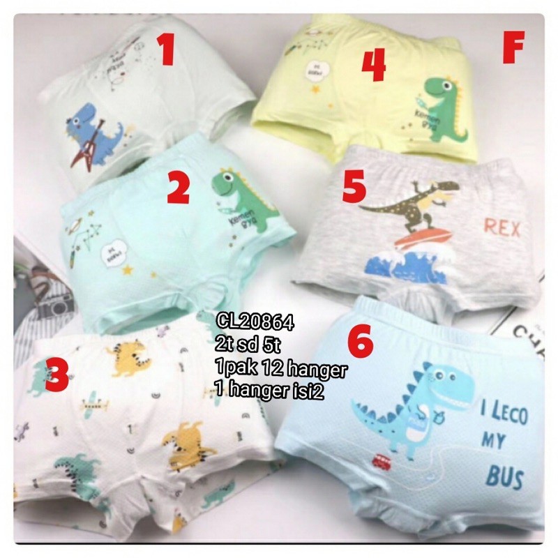 Catell Love Boxer BOY - GRUP 2 (1pcs/pack) / Boxer Anak Laki