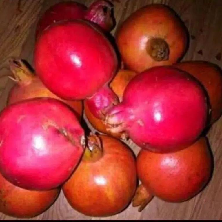 

L-IZW) ✉) Buah delima merah segar spanyol mini satuan biji lunak /terviral)