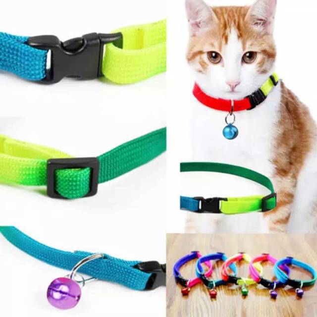 Kalung rainbow 1.5 cm besar warna sembur lonceng aksesoris collar kucing anjing kelinci murah cantik