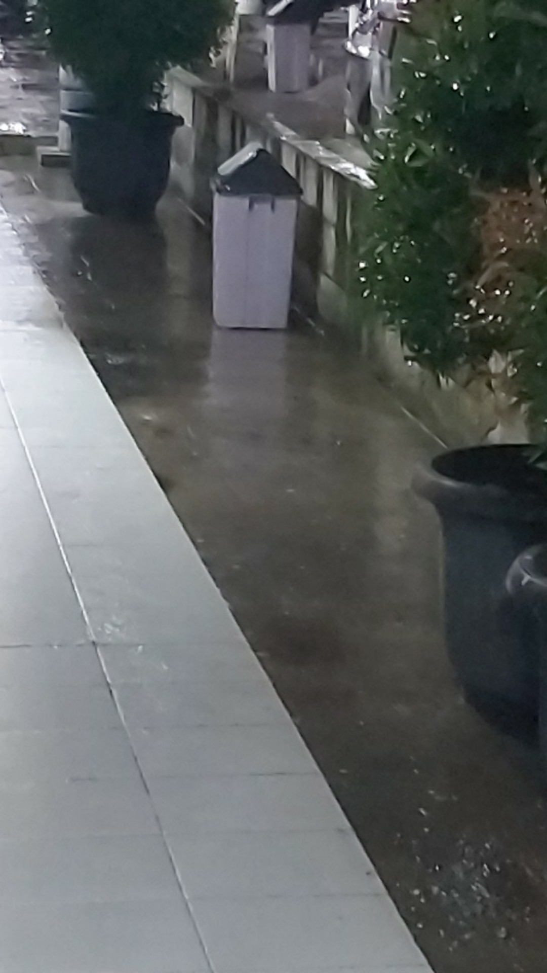 Tempat Sampah 42 Liter Komet Star