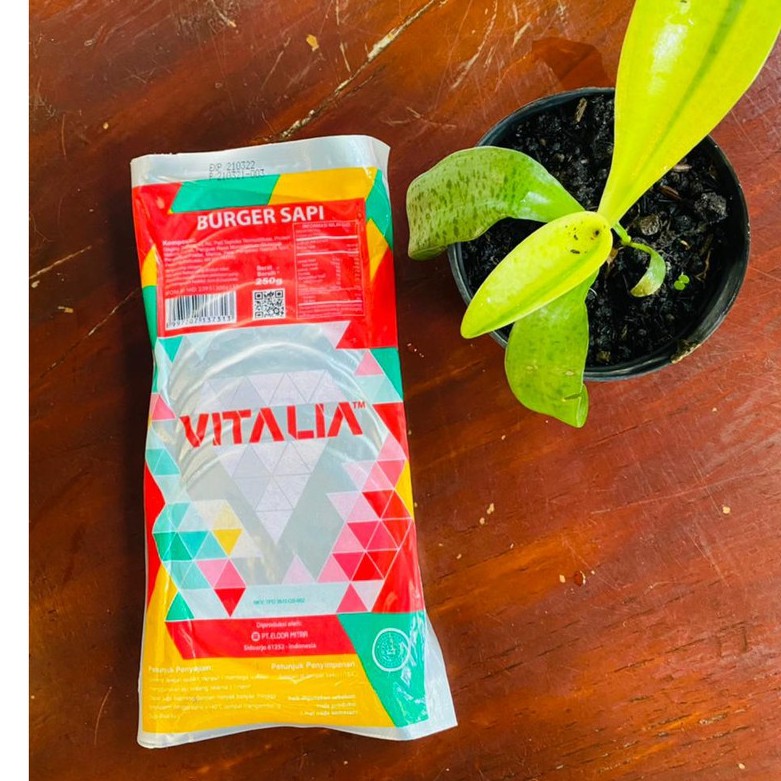 

VITALIA BURGER ISI 10PCS