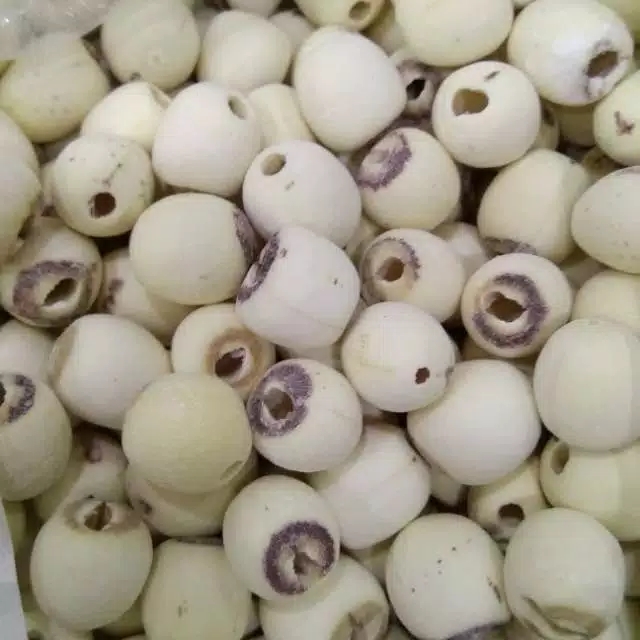 

promo 250gr Biji Teratai /White Lotus Seed/ Lian Zhi / Lienci / Bai Lian zi