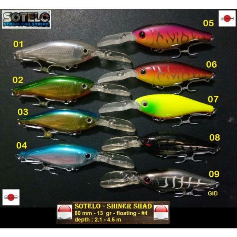 SOTELO - SHINER SHAD