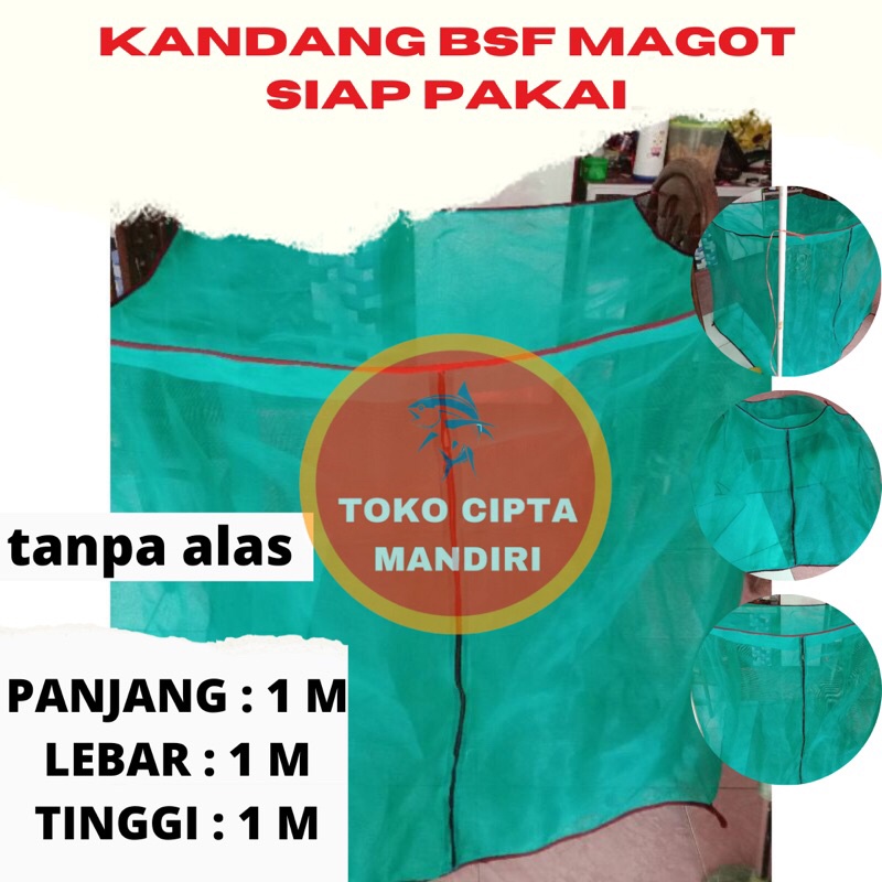 kandang bsf 1 x 1 x 1 tanpa alas kandang bsf magot kandang bsf siap pakai