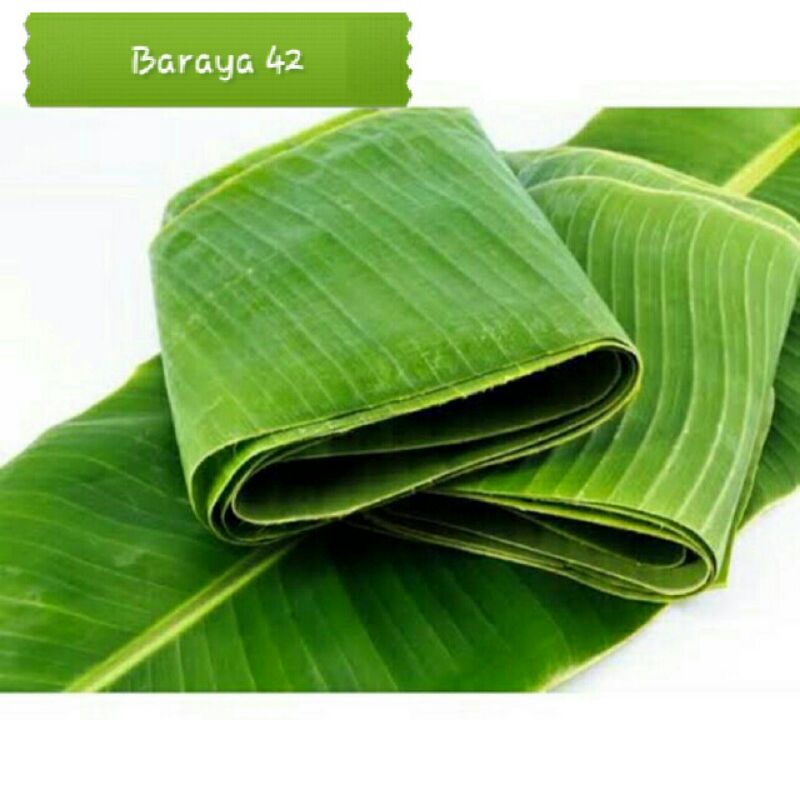 

DAUN PISANG