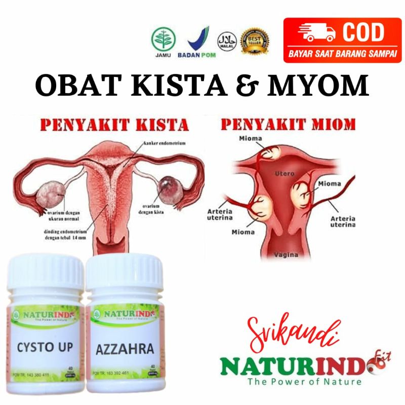 Obat Herbal Cysto Up dan Azzahra