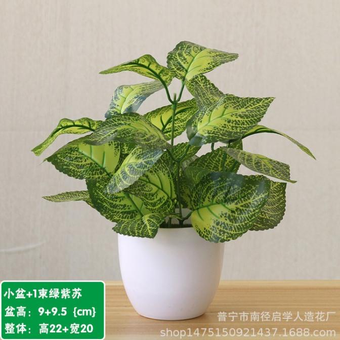 

Az Pot Bunga Keladi Tanaman Hias Plastik Ornamen Dekorasi Caladium HEMAT Kode 1186