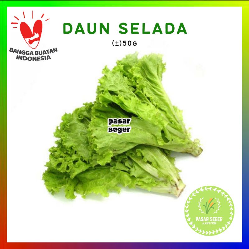 

DAUN SELADA SAYUR [50g]