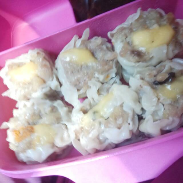 

dimsum mozzarela dan mix (dv)