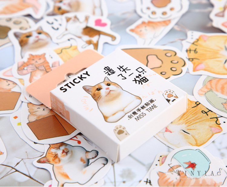 Kotak Lucu Stiker Kawaii Scrapbook Stationery Seri Masa Perempuan