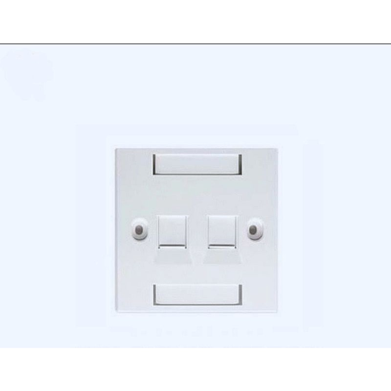 AMP Netconnect Faceplate 2 Port - 2 Hole Faceplate KIT