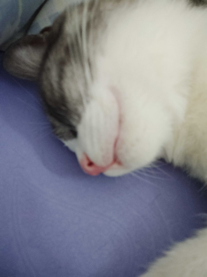 Oxone Ox 605 Pisau Set Black Marble 6 In 1