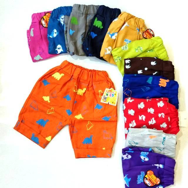 Celana pendek anak laki laki motif fullfrint karakter 2-6 tahun