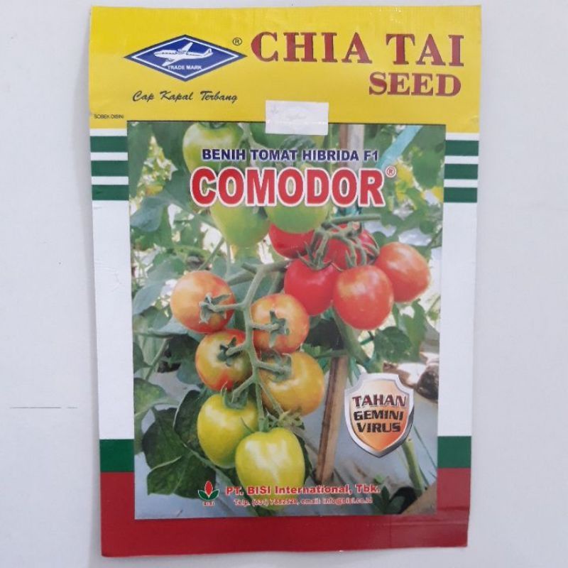 Benih Tomat Comodor Hibrida F1 5 gr