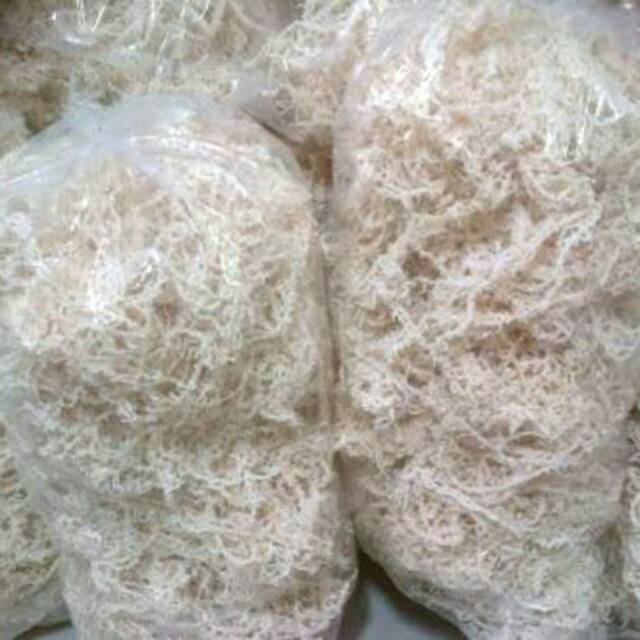 

Rumput Laut Kering Spinosum 1Kg