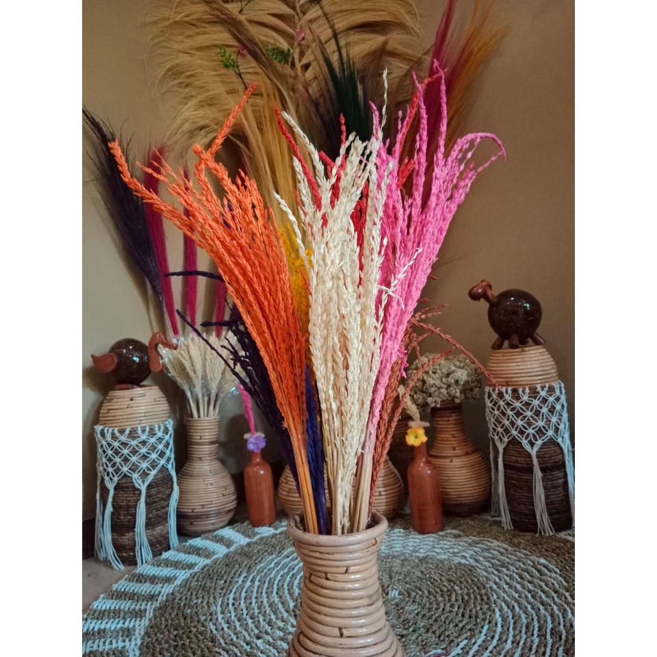 Jual Home Decor Bunga Jagung/Bunga Jagung Kering/Dried Flower/Bunga Kering Murah