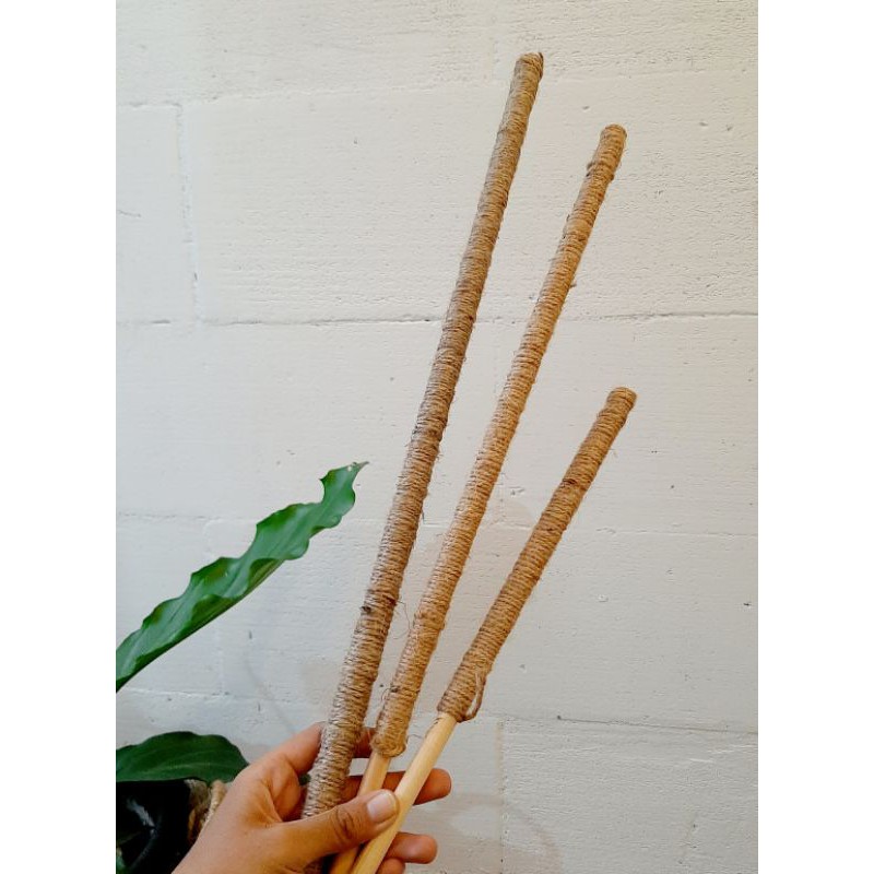 Stik tongkat kayu penyangga tanaman / turusan rambat