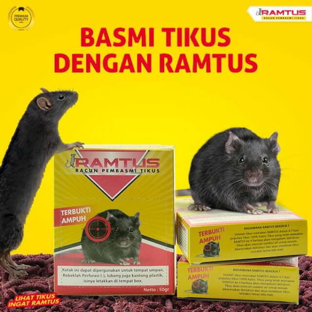 Racun Tikus Paling Ampuh RAMTUS