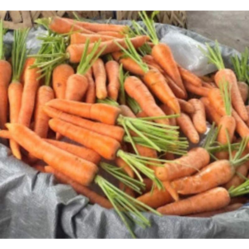 

RB Wortel organik 1kg