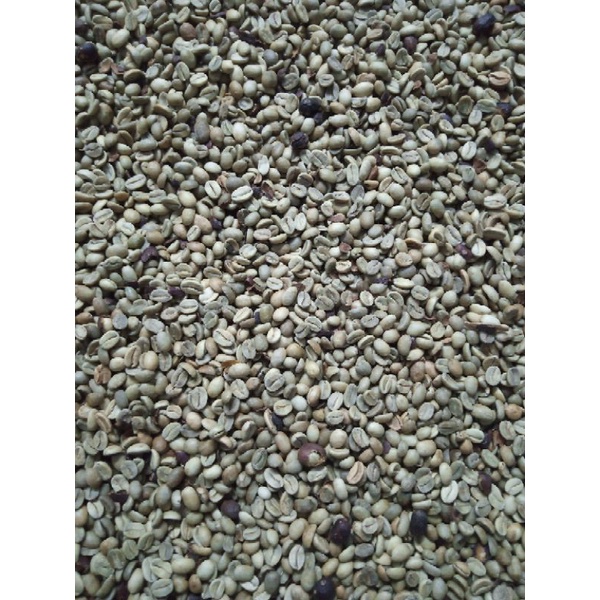 

kopi beras arabika