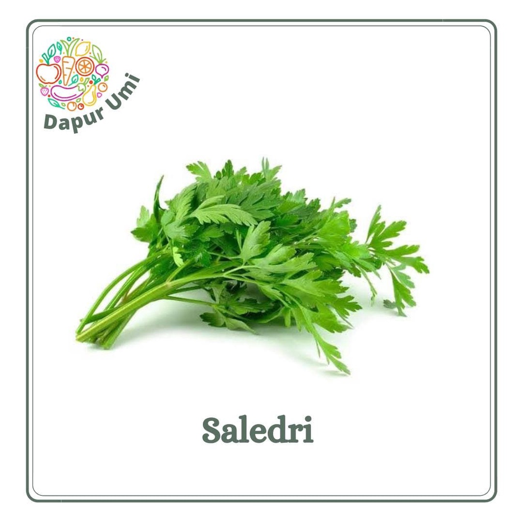 

SALEDRI SELEDRI - SAYUR SAYUR SEGAR PURWAKARTA