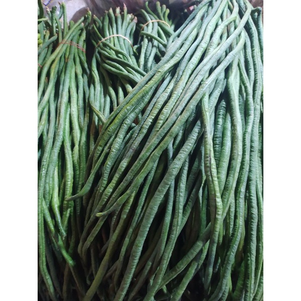 

Kacang Panjang/ Sayur Segar Pilihan(250g)