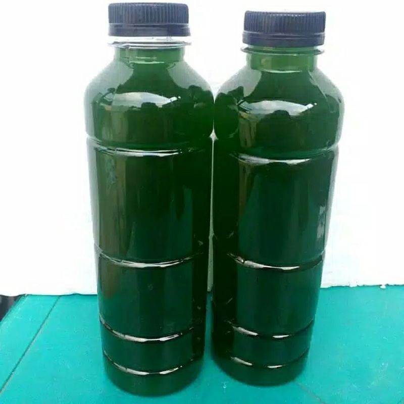 

green water / chlorella