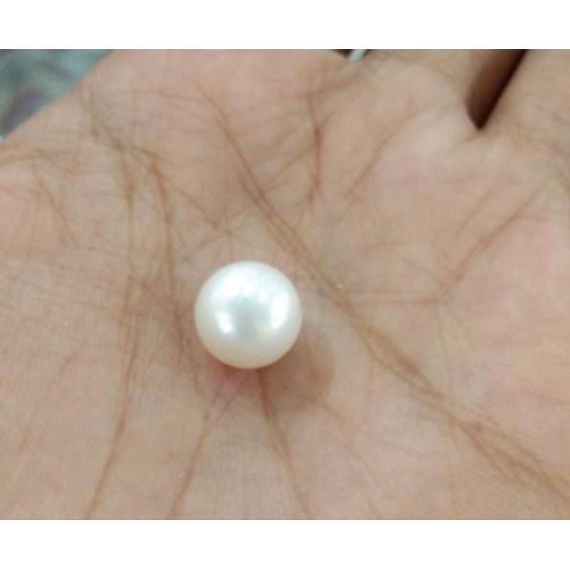 Mutiara Laut Asli Grade AAA