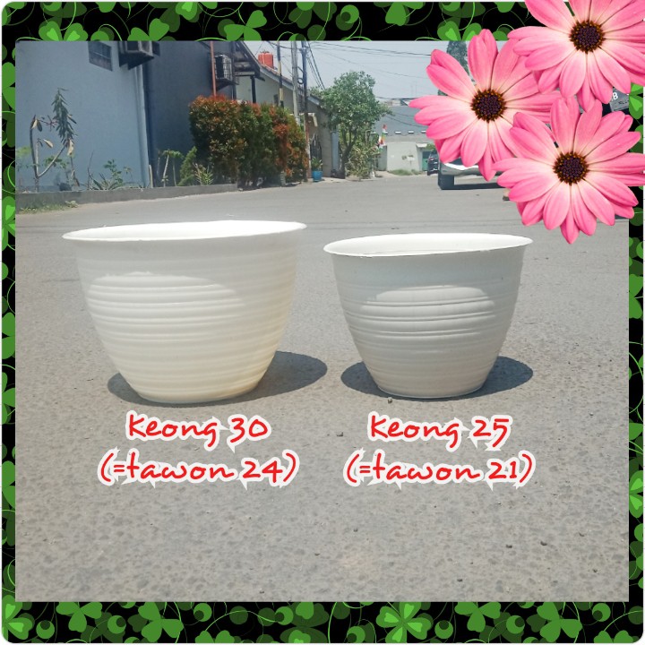 Pot Tawon 24 Cm Putih - Pot Tawon Pot 25 Plastik 25CM Vas Bunga Pot Putih Pot Adenium Bonsai - Pot Tawon 24