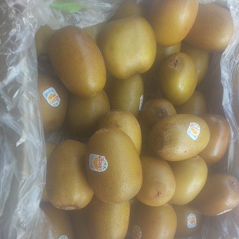 

kiwi Zespri gold