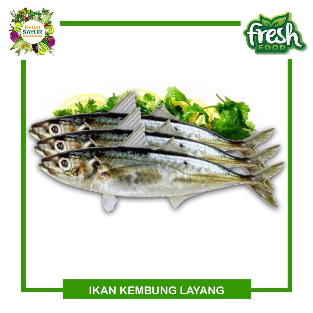 

Ikan Kembung Layang Segar 500 Gram- Gerai Sayur Hasil Laut Segar Depok