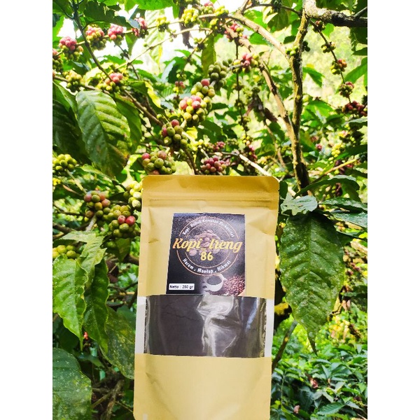 

TERLARIS!! Kopi Lelet Lasem Kopi Bubuk Halus Coffee Ireng
