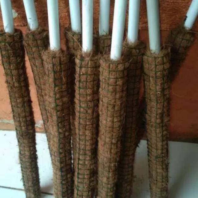 Jual penyangga tanaman / turus penyangga tanaman