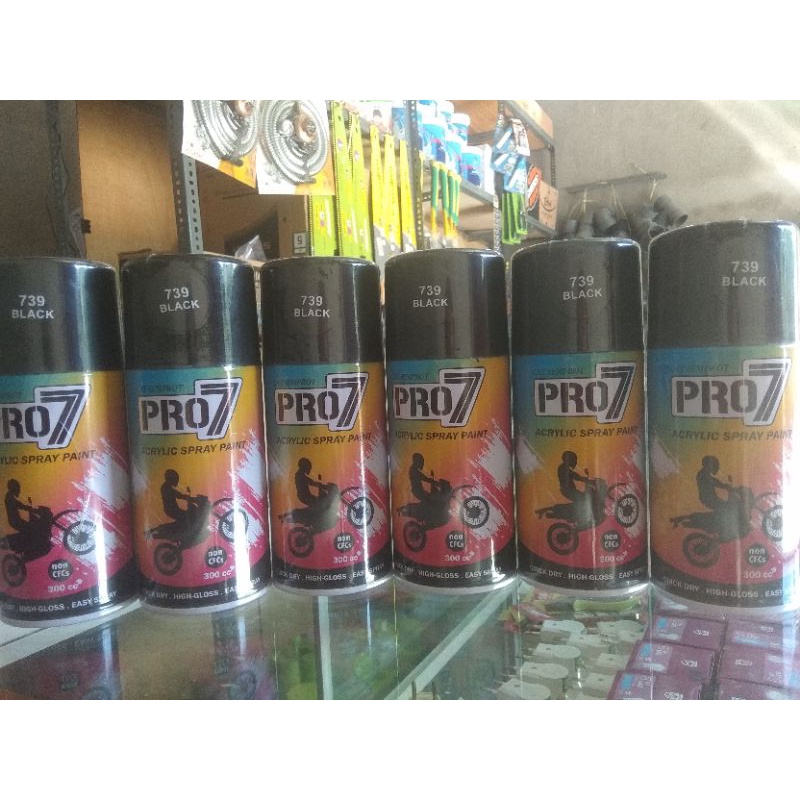 

Acrylic Spray Paint