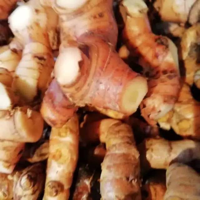 

LENGKUAS MURAH 250 GRAM