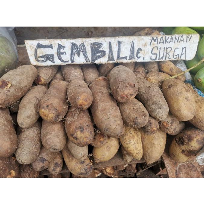 

Hanya Disini] Gembili 1 Kg