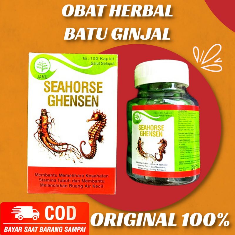 Obat Herbal Batu Ginjal Sakit Punggang Seahorse Ghenshen Kidney Suplemen Alami Cina Tradisional
