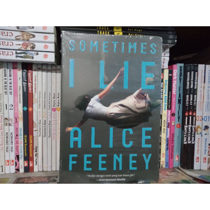 Novel Sometimes I Lie