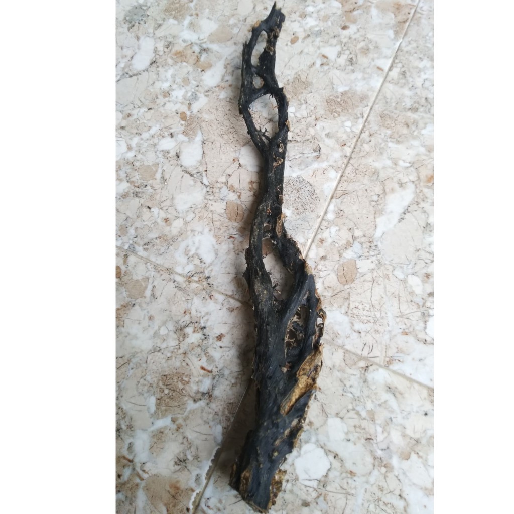 BAHAN AKAR BAHAR SUPER JUMBO BERKUALITAS 