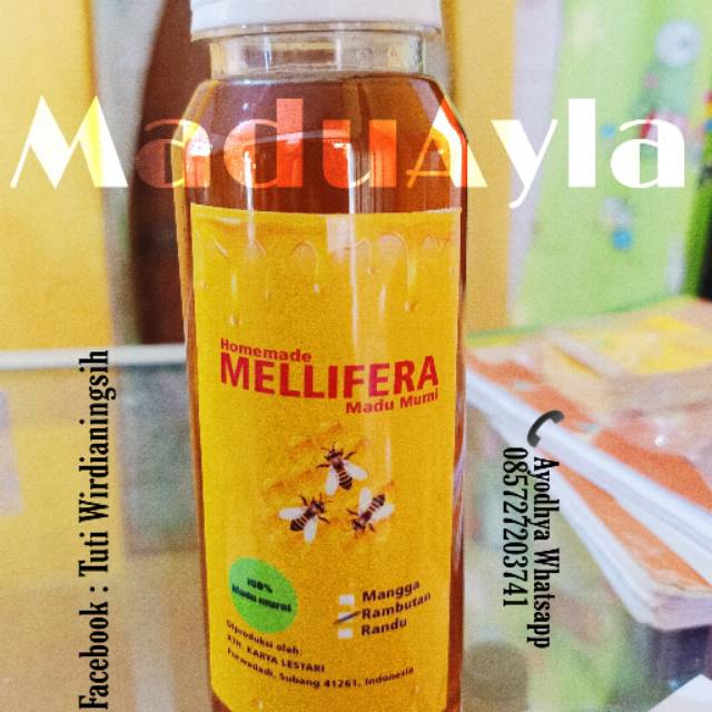 

Madu Murni Asli Lebah Madu Mallifera 250 ml