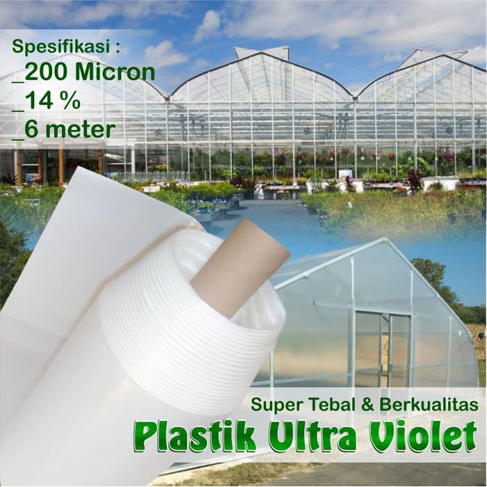 Plastik UV 200 Micron 14 % Lebar 6 meter