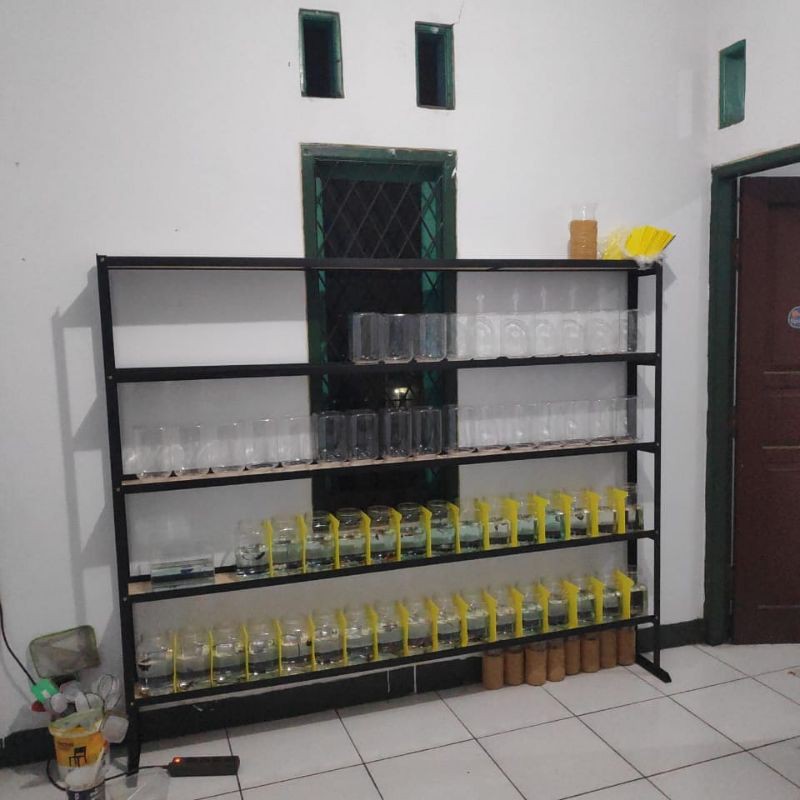 Rak Cupang 5 susun