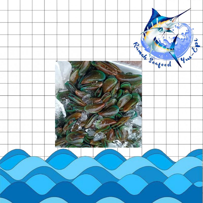 

Kerang Ijo - rumahseafoodyusepi