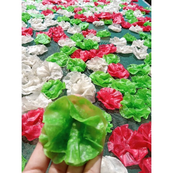 

sorodot jempol √ kembang Ross