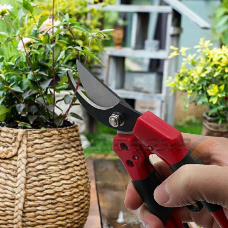 Kenmaster Gunting Dahan Serbaguna Alat Potong Dahan Ranting Tanaman Bunga Stek Pruning Shears