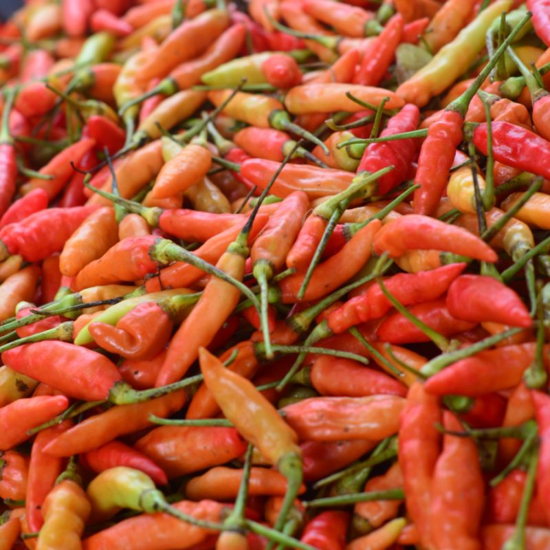 

Cabai / Cabe rawit merah 500 Gram Segar