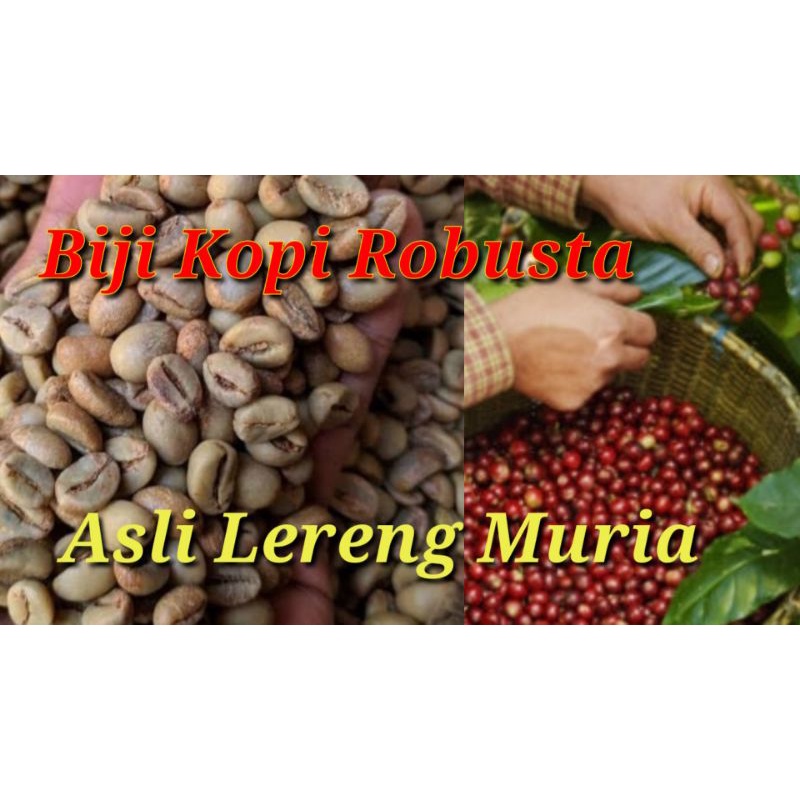 

Biji kopi Robusta Asli Lereng Muria 1 Kg