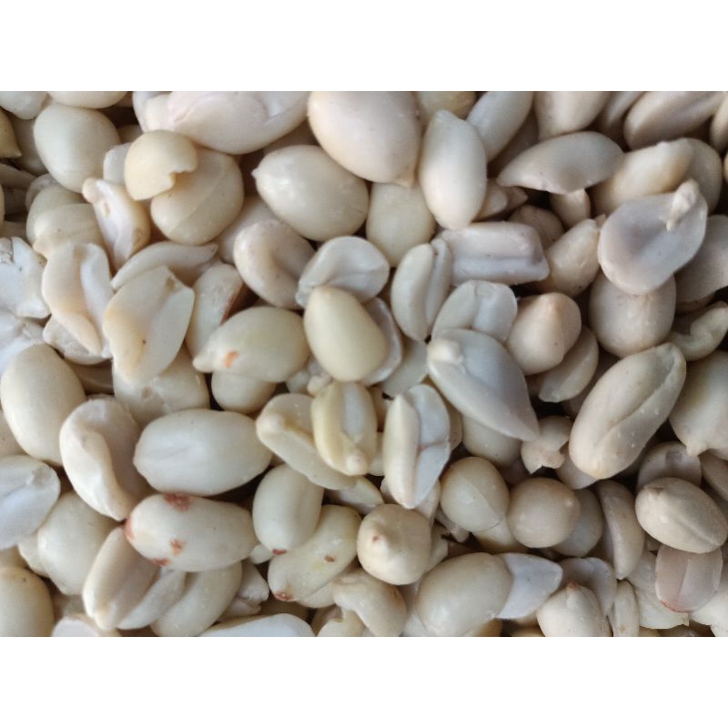 

KACANG KUPAS 41/51 MURAH
