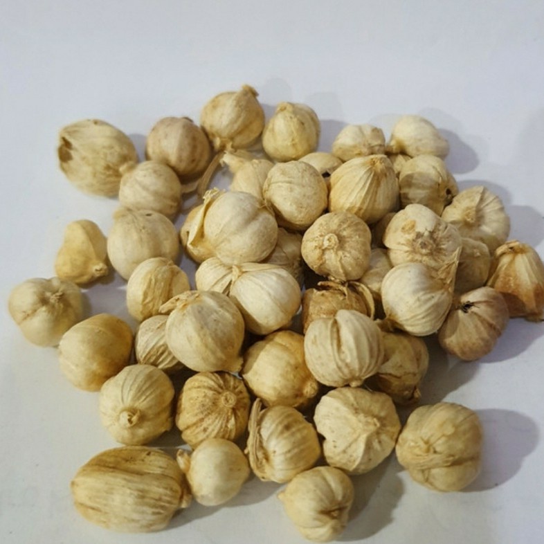

Kapolaga | Kapulaga | 100 Gram